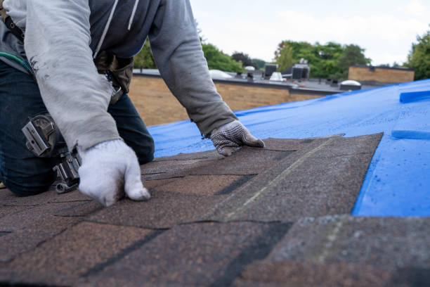 Best Storm Damage Roof Repair  in Norwich, CT