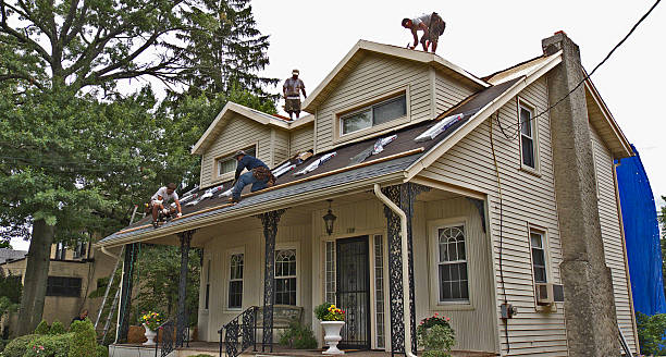 Best Storm Damage Roof Repair  in Norwich, CT